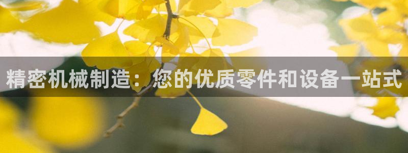 大发彩神最高邀请码：精密机械制造：您的优质零件和设备一站式