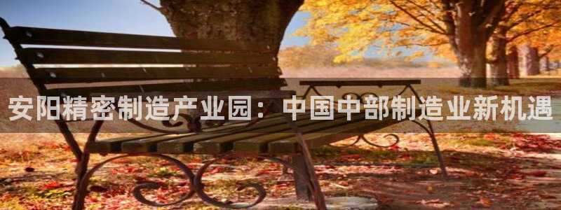 彩神viii下载安卓：安阳精密制造产业园：中国中部制造业新机遇