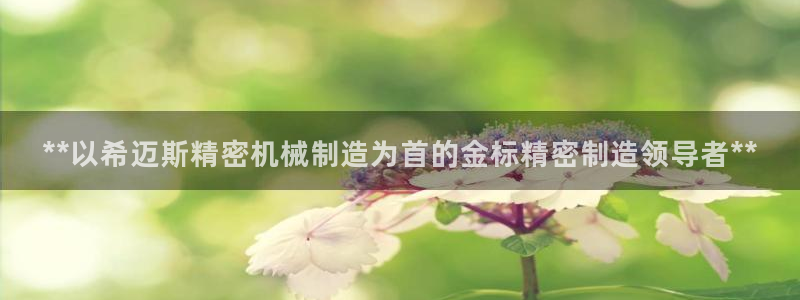 彩神v彩搜狗：**以希迈斯精密机械制造为首的金标精密制造领导者**