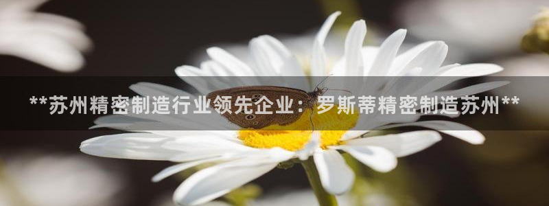 彩神VII购彩中心：**苏州精密制造行业领先企业：罗斯蒂精密制造苏州**