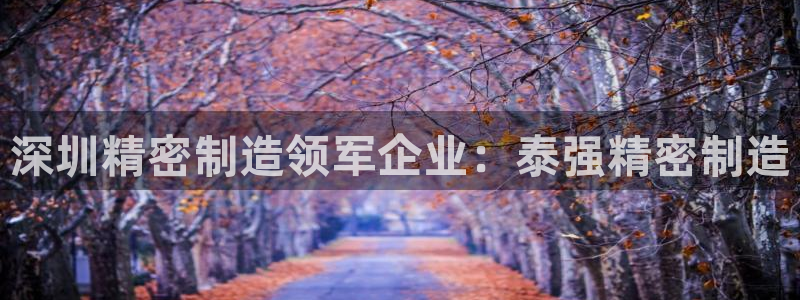 彩神vⅲ下载安装：深圳精密制造领军企业：泰强精密制造