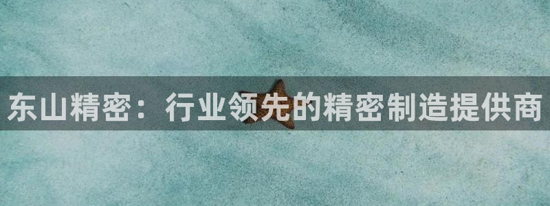 彩神velcome购彩大厅：东山精密：行业领先的精密制造提供商