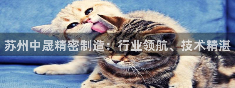 彩神购彩-购彩大厅入口500：苏州中晟精密制造：行业领航、技术精湛