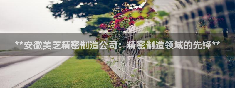 彩神ix可靠吗：**安徽美芝精密制造公司：精密制造领域的先锋**