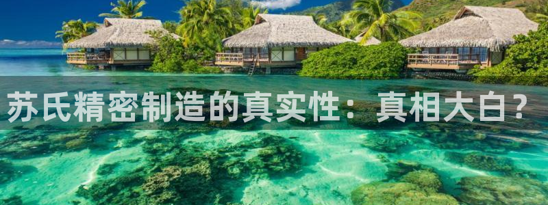 彩神购彩-购彩大厅入口娱乐首选：苏氏精密制造的真实性：真相大白？