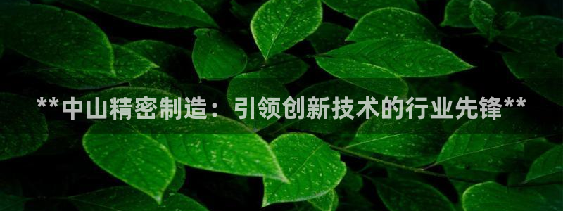 彩神v|：**中山精密制造：引领创新技术的行业先锋**