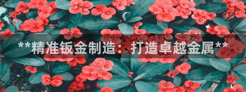 彩神viii是正规平台吗?：**精准钣金制造：打造卓越金属**