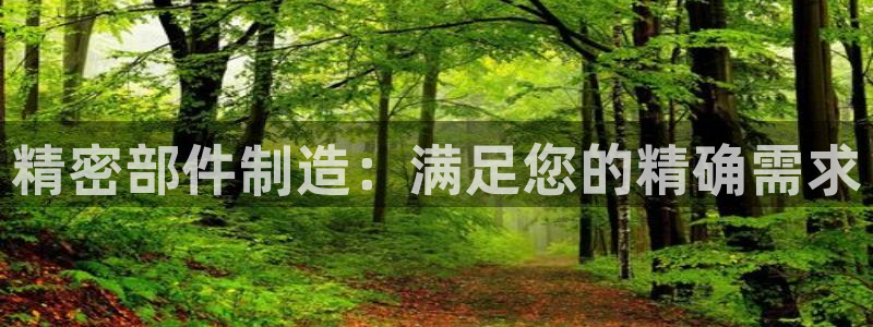 彩神合法吗.是国家认可的吗：精密部件制造：满足您的精确需求