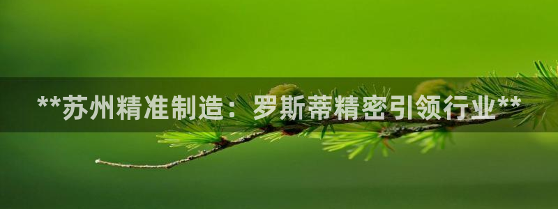 新版彩神v8登录教程：**苏州精准制造：罗斯蒂精密引领行业**