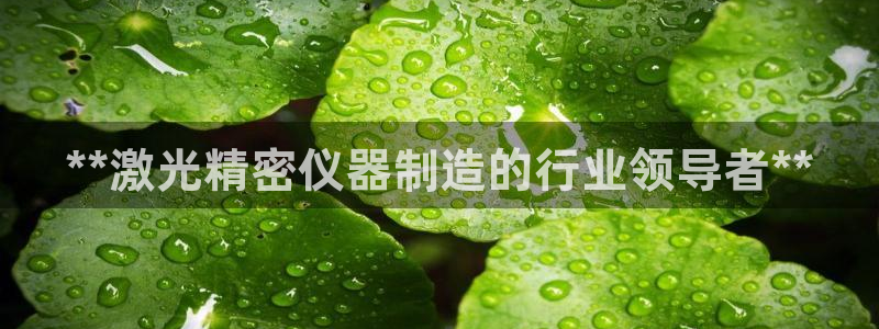 在彩神网输了六万多怎么拿回来：**激光精密仪器制造的行业领导者**