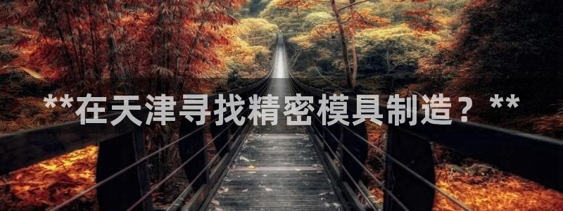 彩神8官网500：**在天津寻找精密模具制造？**