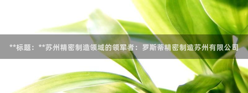 彩神v8首页：**标题：**苏州精密制造领域的领军者：罗斯蒂精密制造苏州有限公司