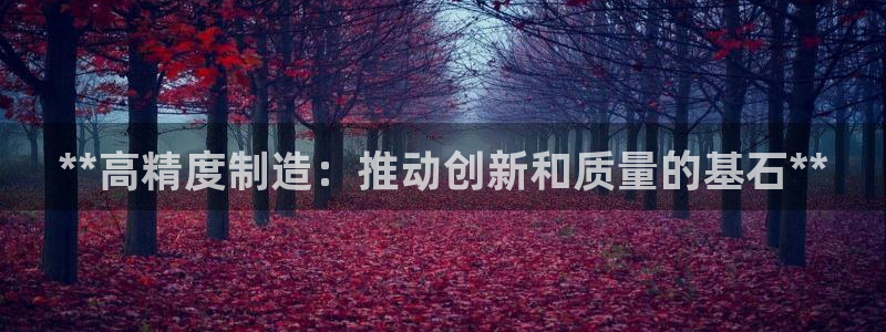 彩神赢的钱是哪里来的啊：**高精度制造：推动创新和质量的基石**