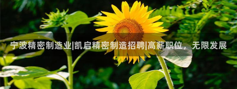 下载彩神乐发V：宁波精密制造业|凯启精密制造招聘|高薪职位，无限发展