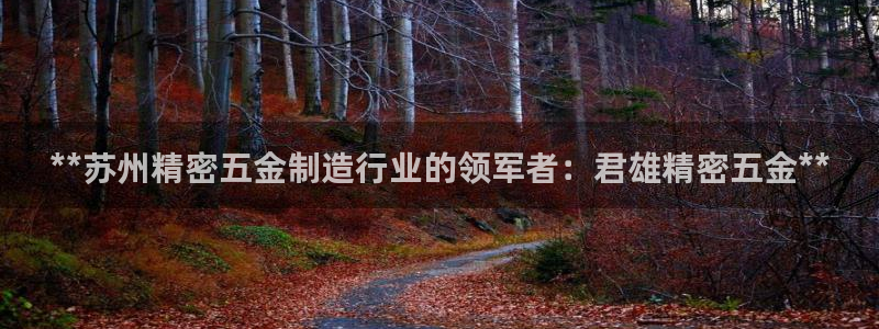彩神正规吗：**苏州精密五金制造行业的领军者：君雄精密五金**
