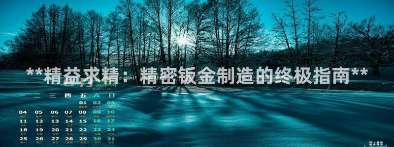 v大发彩神8iii：**精益求精：精密钣金制造的终极指南**
