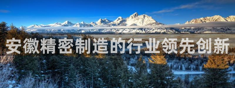 彩神赢的钱是哪里来的：安徽精密制造的行业领先创新