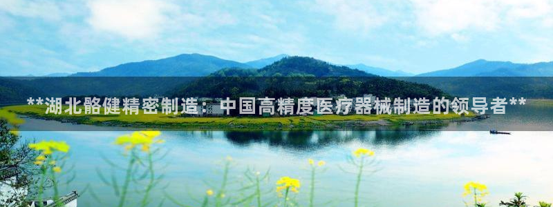 彩神旗下有哪些平台：**湖北骼健精密制造：中国高精度医疗器械制造的领导者**