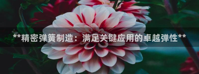 彩神v8下载app5.0：**精密弹簧制造：满足关键应用的卓越弹性**