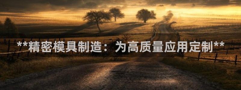 彩神v8手机客户端下载：**精密模具制造：为高质量应用定制**