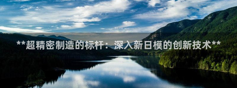 彩神是怎样一个平台：**超精密制造的标杆：深入新日模的创新技术**