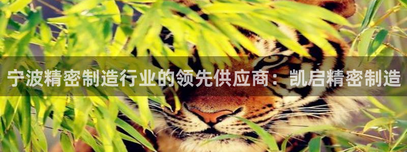 彩神 好 平台：宁波精密制造行业的领先供应商：凯启精密制造