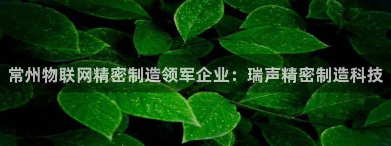 彩神vlll官网网上购彩：常州物联网精密制造领军企业：瑞声精密制造科技