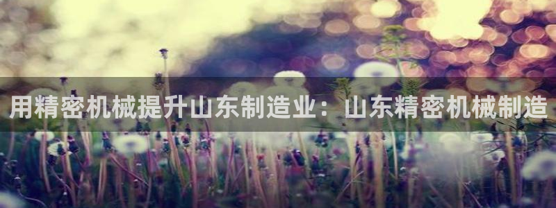 彩神官方网站登录是多少：用精密机械提升山东制造业：山东精密机械制造