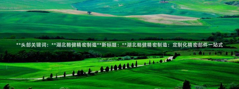 彩神v天天：**头部关键词：**湖北骼健精密制造**新标题：**湖北骼健精密制造：定制化精密部件一站式