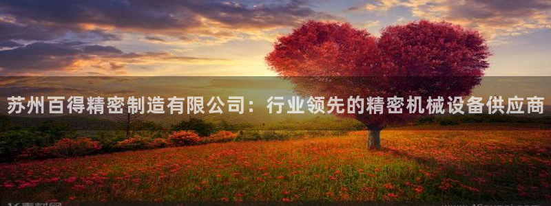 彩神v彩搜狗：苏州百得精密制造有限公司：行业领先的精密机械设备供应商