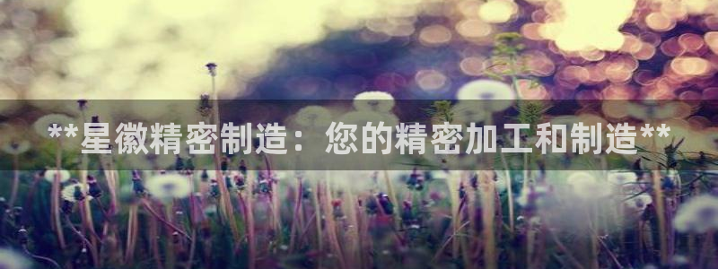 彩神平台能提现吗：**星徽精密制造：您的精密加工和制造**