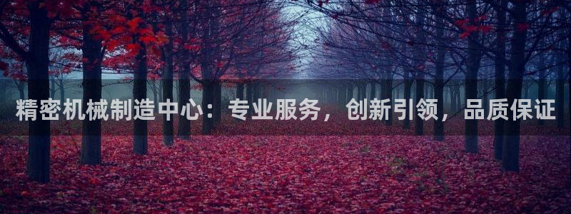 彩神8是正规平台吗安全吗：精密机械制造中心：专业服务，创新引领，品质保证