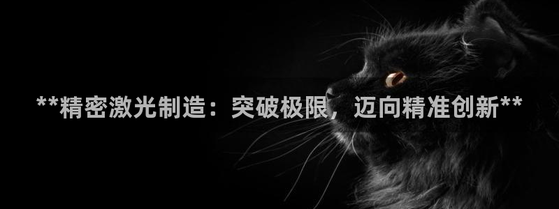 有谁知道彩神争霸的网址：**精密激光制造：突破极限，迈向精准创新**