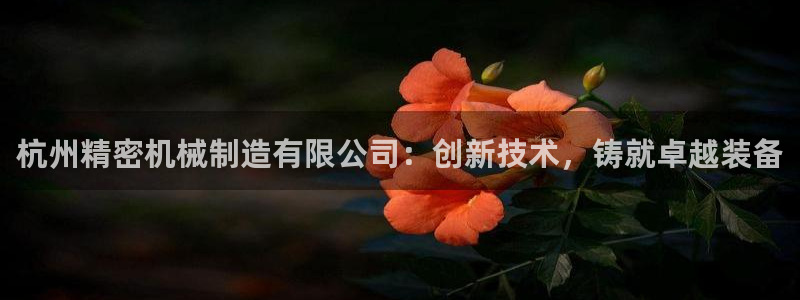 彩神V8有限公司：杭州精密机械制造有限公司：创新技术，铸就卓越装备