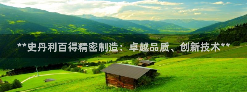 彩神v秘聊号码：**史丹利百得精密制造：卓越品质、创新技术**