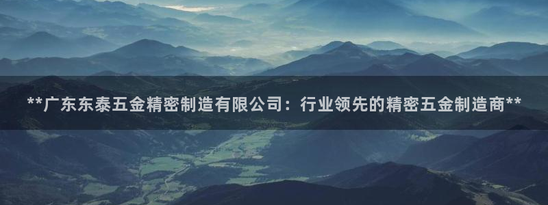 彩神vllⅰ购彩大厅：**广东东泰五金精密制造有限公司：行业领先的精密五金制造商**