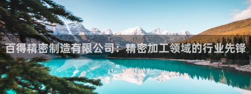 彩神ix平台：百得精密制造有限公司：精密加工领域的行业先锋