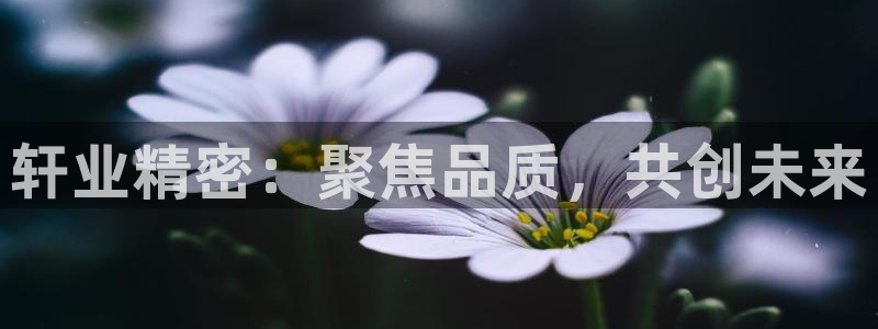 彩神购彩购彩大厅入口v：轩业精密：聚焦品质，共创未来