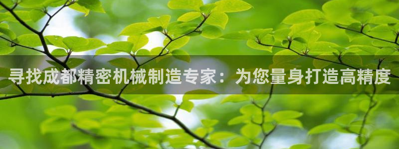 彩神vii官网大赢家：寻找成都精密机械制造专家：为您量身打造高精度