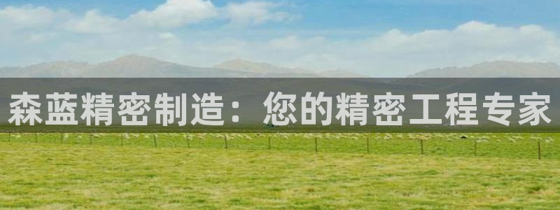 下载彩神乐发V：森蓝精密制造：您的精密工程专家