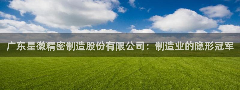 彩神v8手机客户端怎么下载：广东星徽精密制造股份有限公司：制造业的隐形冠军