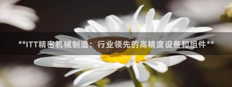 彩神v8下载app5.0：**ITT精密机械制造：行业领先的高精度设备和组件**