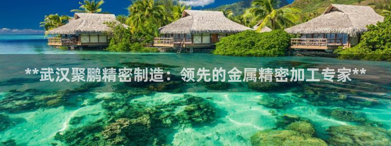 彩神ix官网：**武汉聚鹏精密制造：领先的金属精密加工专家**