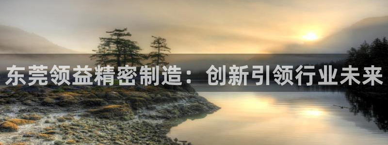 彩神vii购彩l心：东莞领益精密制造：创新引领行业未来