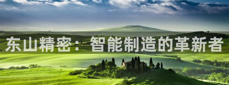 彩神ix平台：东山精密：智能制造的革新者