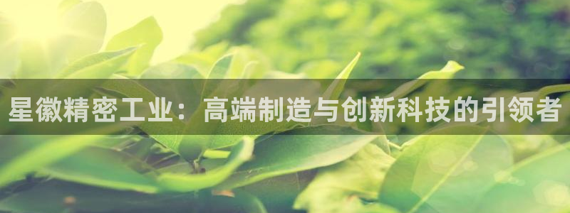 彩神app赚钱是真是假：星徽精密工业：高端制造与创新科技的引领者
