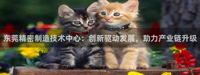 彩神VII官方版：东莞精密制造技术中心：创新驱动发展，助力产业链升级