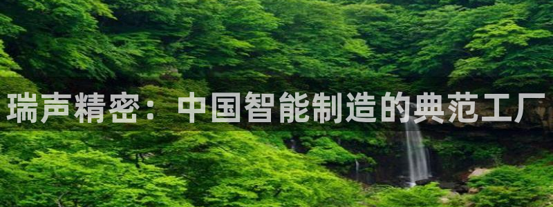 彩神v8是真的挣钱吗知乎：瑞声精密：中国智能制造的典范工厂