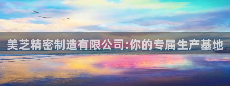 新版彩神v8登录不上去：美芝精密制造有限公司:你的专属生产基地