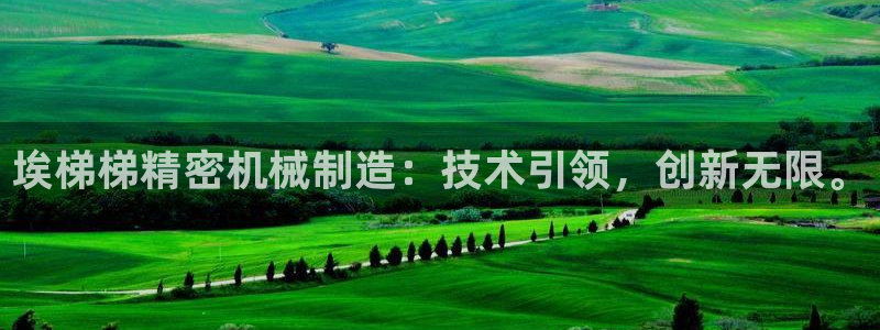 彩神大发如何观察走势：埃梯梯精密机械制造：技术引领，创新无限。